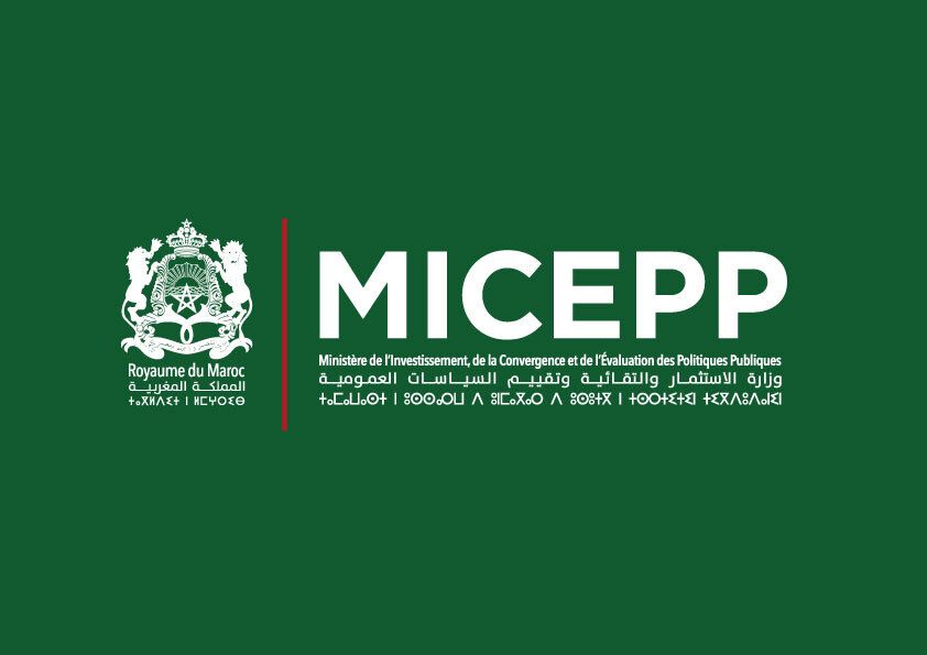 Logo MICEPP Vert